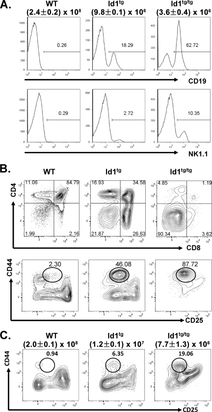 FIG. 1.