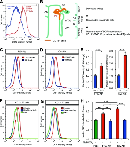 Figure 10.