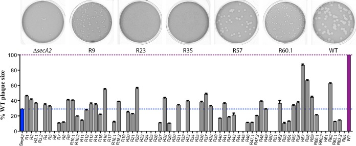 FIG 2