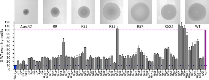 FIG 1