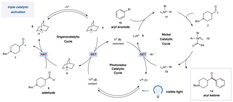 Scheme 1