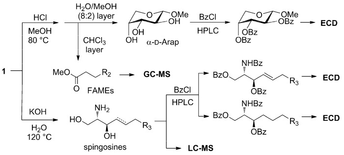 Scheme 1