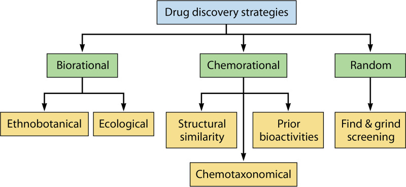 FIG 2