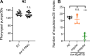Figure 2—figure supplement 2.
