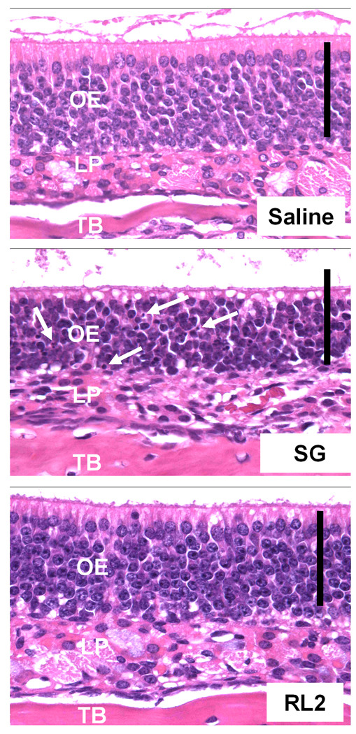 Fig. 9