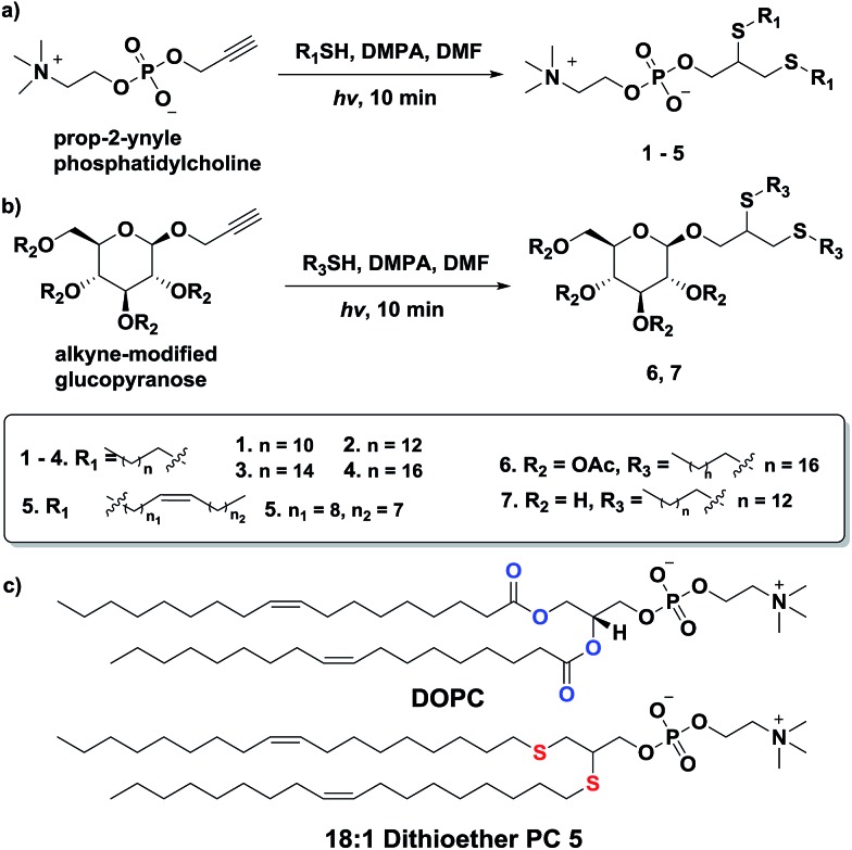 Scheme 1