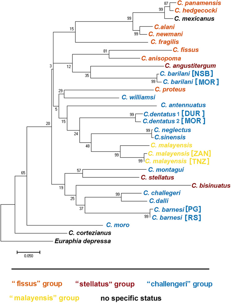 Figure 12