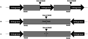 Figure Methods 1.
