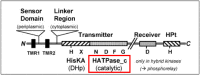 Fig. Methods 2.