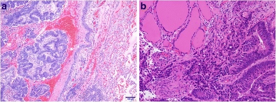 Fig 3.