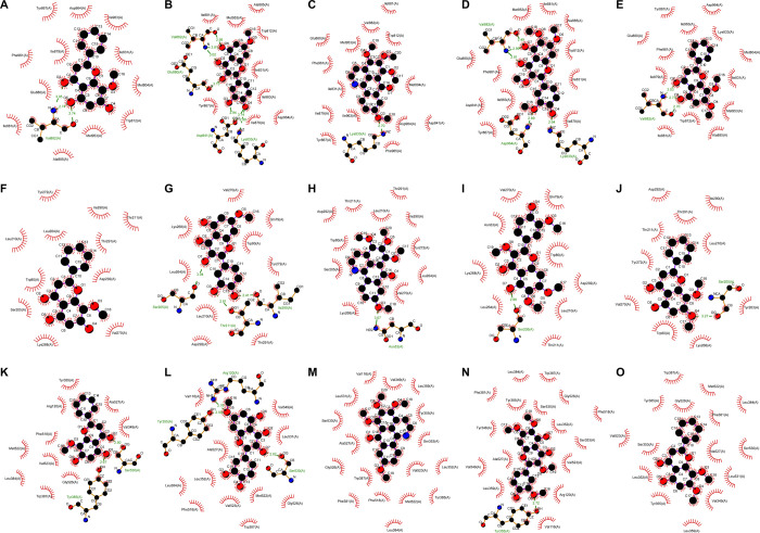 Figure 5