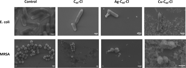 Fig. 14