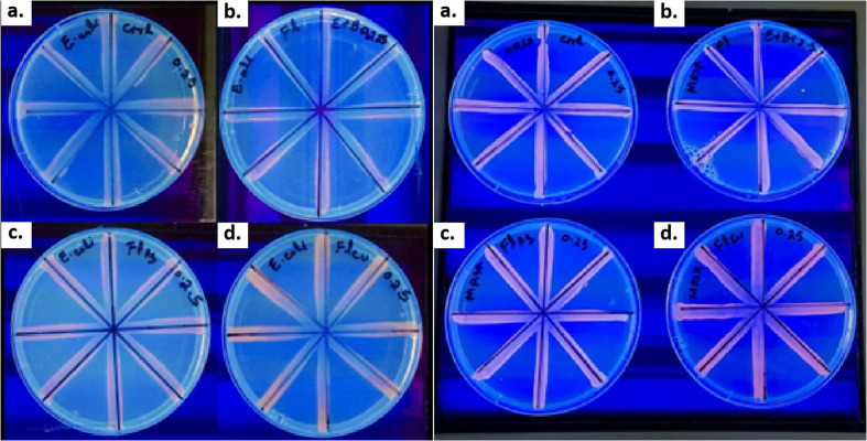 Fig. 11