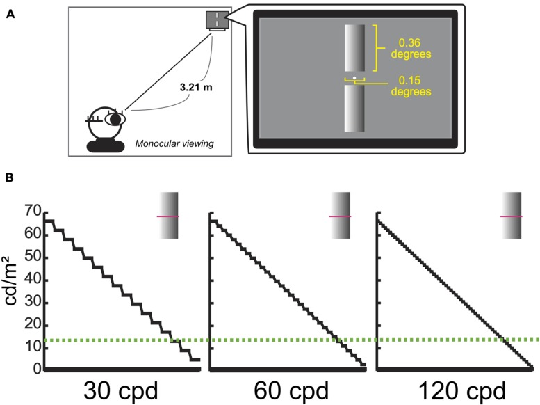 FIGURE 3