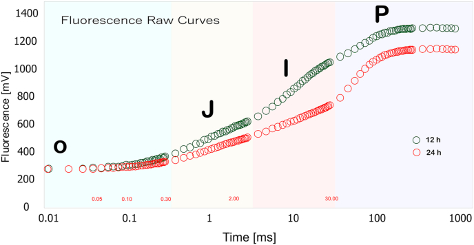 Fig. 4