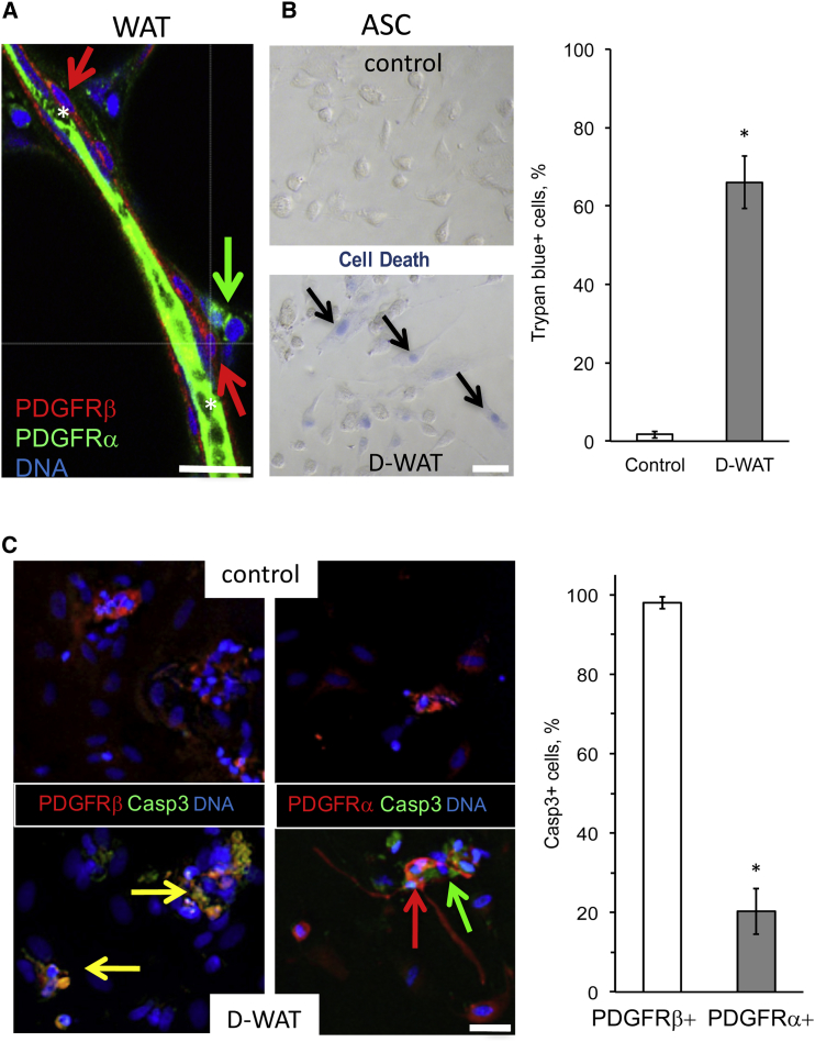 Figure 6