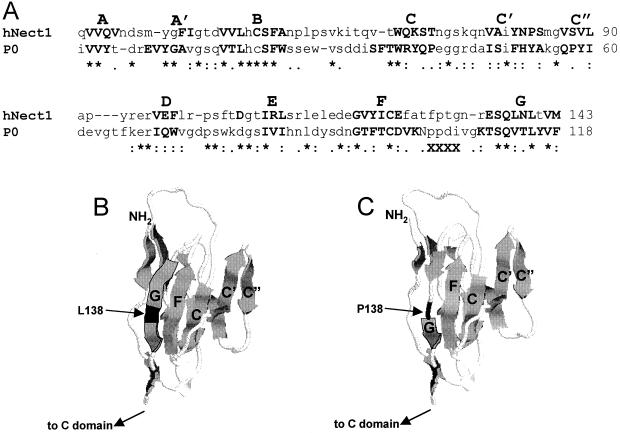 FIG. 7.