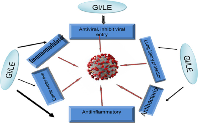 Image, graphical abstract