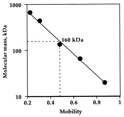 FIG. 1