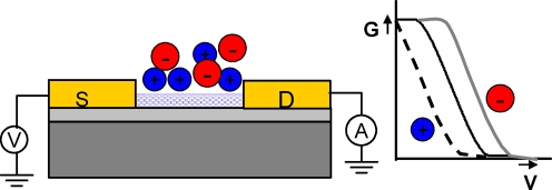 Fig. 6