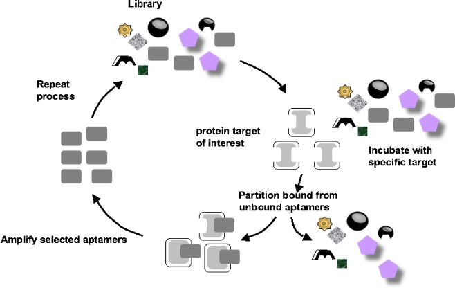 Fig. 2