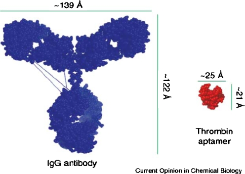 Fig. 8