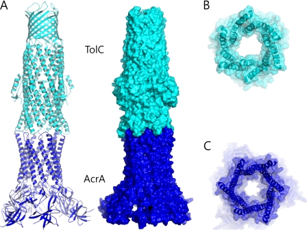 FIGURE 4.