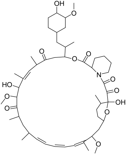 graphic file with name cells-12-01671-i046.jpg