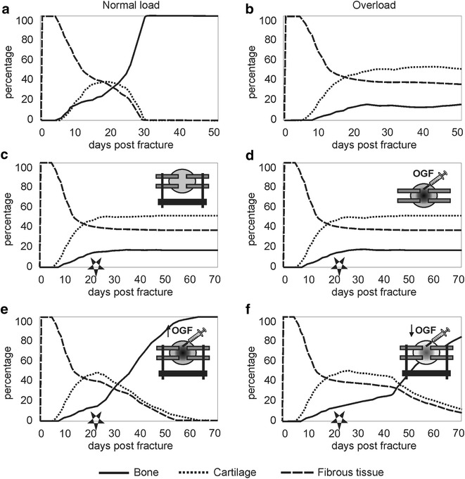 Fig. 7