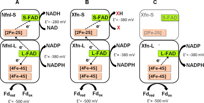 Figure 6.