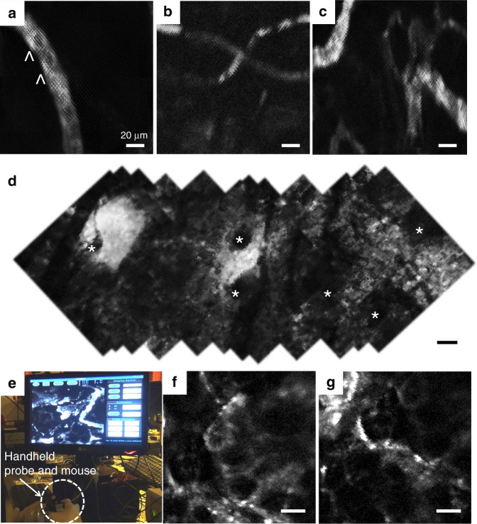 Fig. 8