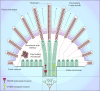 Fig. 2