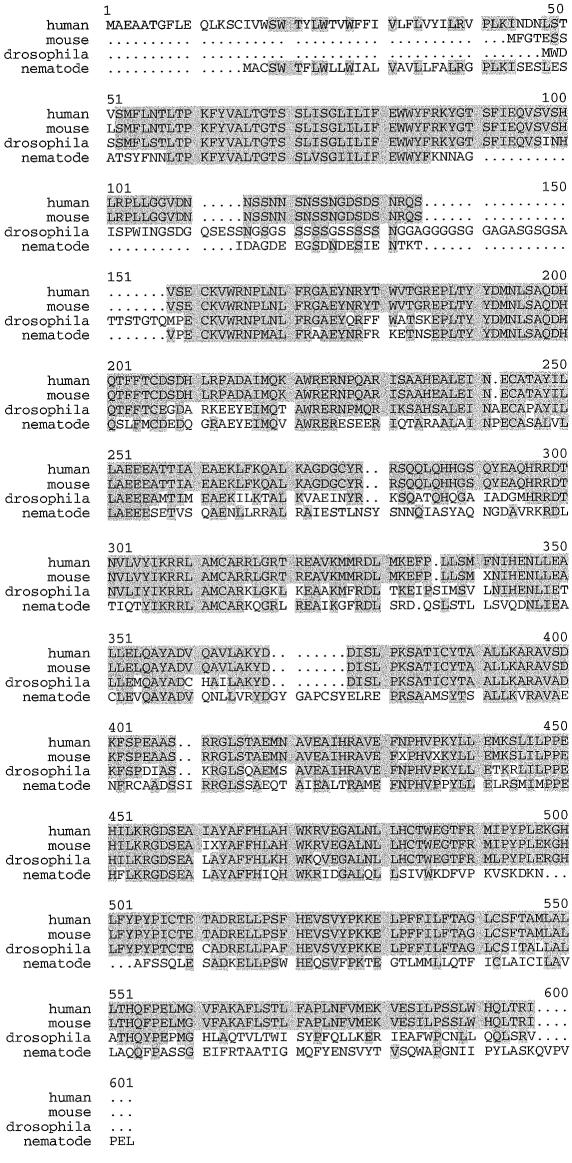 Figure  2