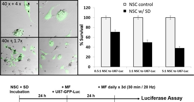 Fig 6