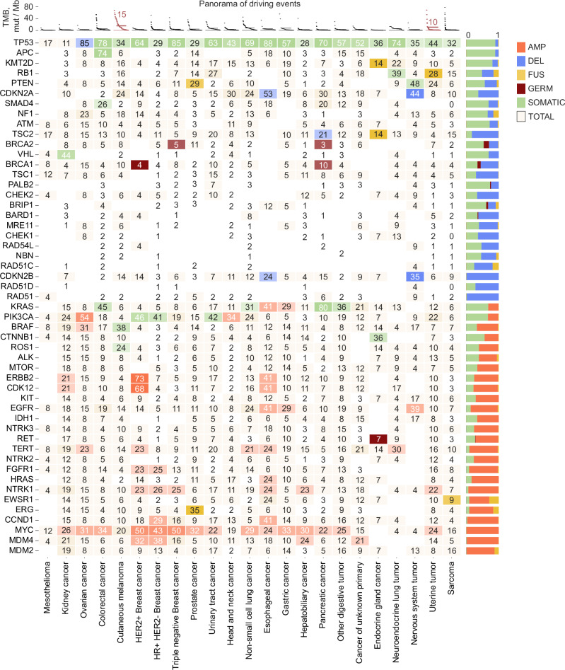 Clinical and analytical validation of a combined RNA and DNA exome ...