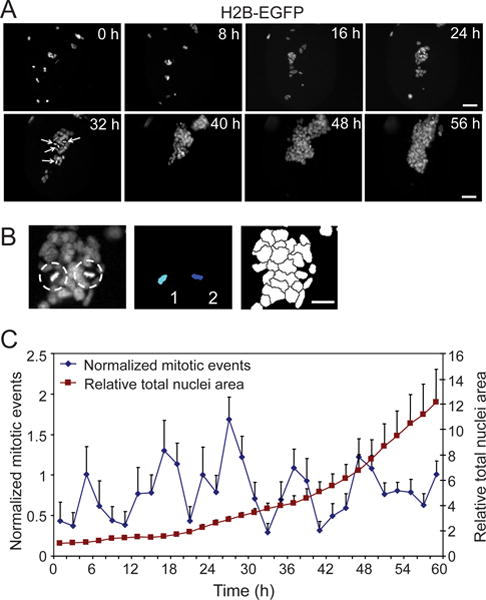 Figure 4