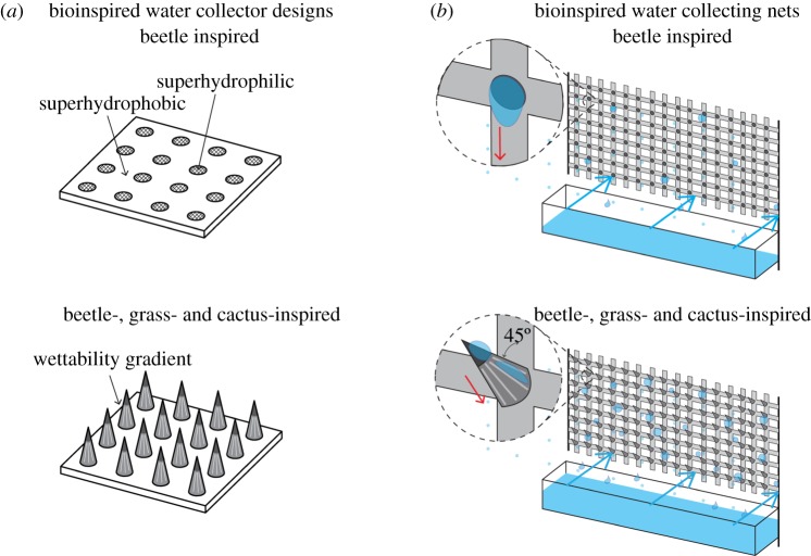 Figure 12.