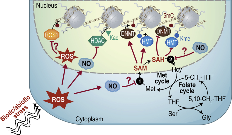 Figure 2