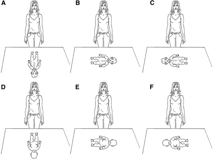 Fig. 2