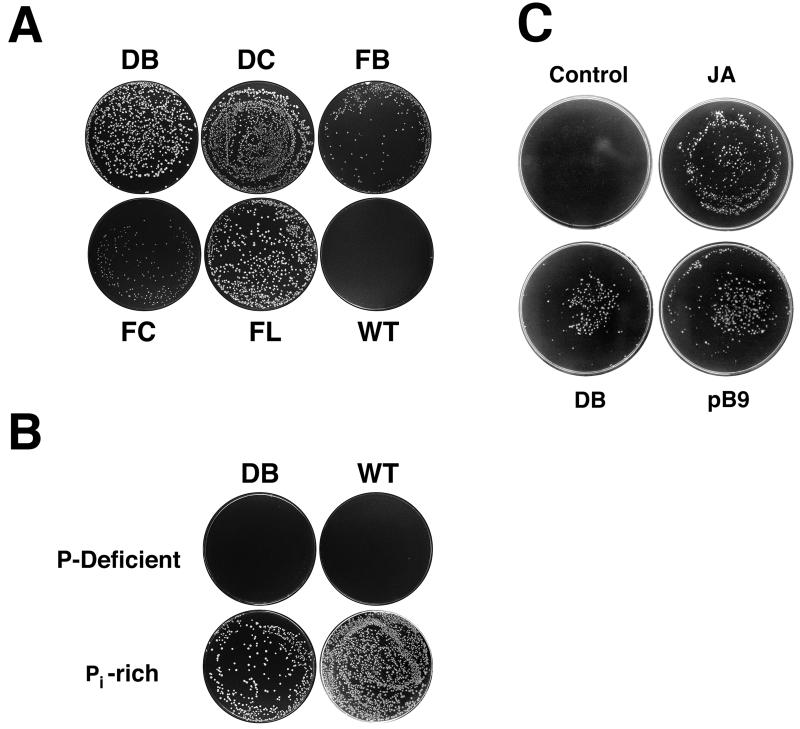 FIG. 2
