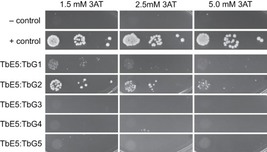 FIGURE 2.