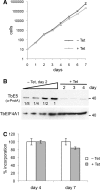 FIGURE 5.