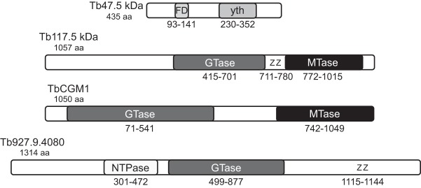 FIGURE 7.