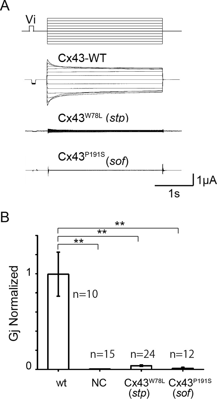 FIGURE 7.