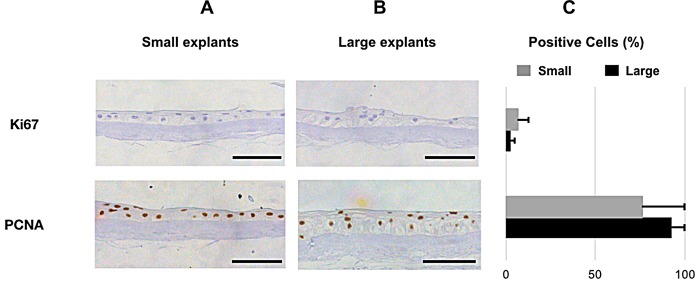 Fig 9