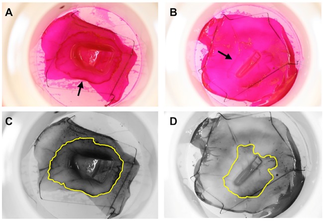 Fig 3