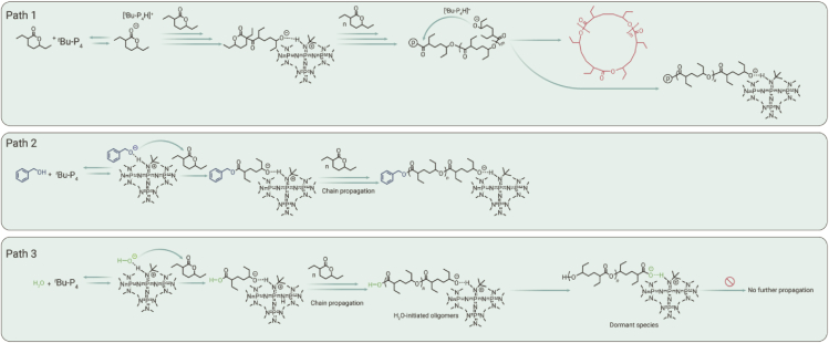 Figure 5