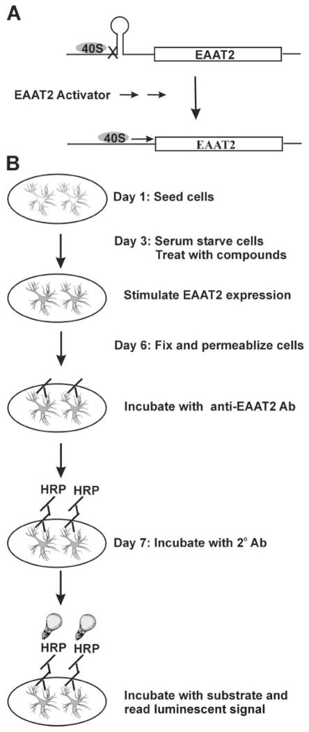 FIG. 1