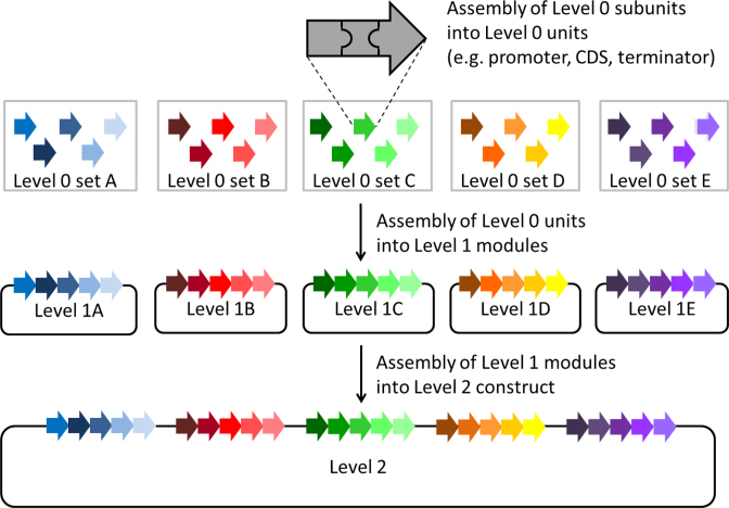 Figure 1.