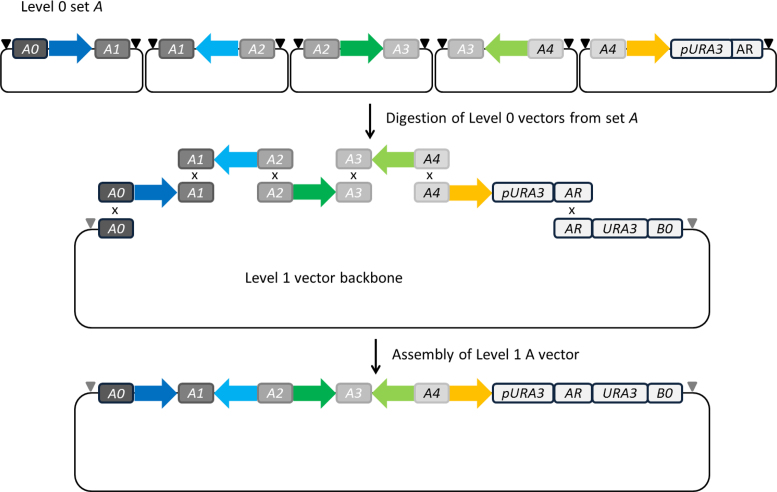 Figure 4.